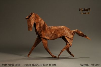 HorseBrill-2.JPG