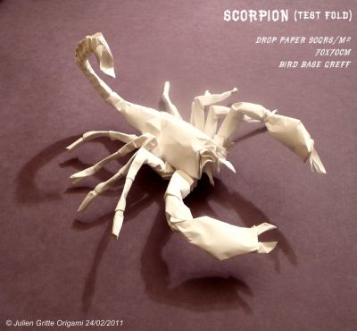 scorpion test fold
drop paper 90grs - 70x70cm
Base de l'oiseau ratio 0,48
Mots-clés: scorpion julien gritte