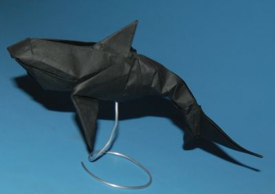 Requin
