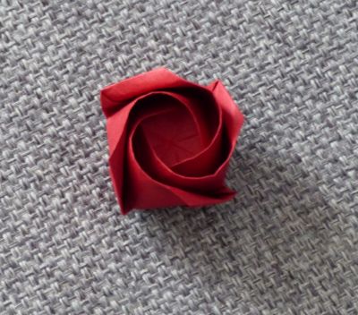 Rose of roses de Jordi Adell
