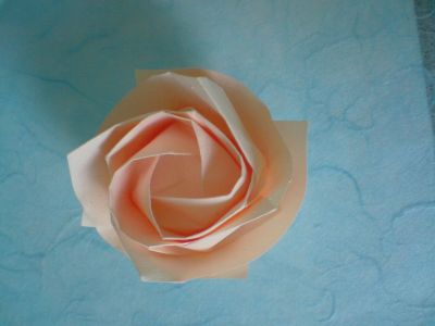 Rose de kawasaki
Plié dans un carré de tant de 17.5*17.5 cm en ne marquant que les plis nécessaires au modèle final.
