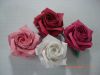 4_roses.JPG