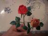 roses_et_feuille_2.JPG