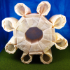Nom du fichier=Castel-Del-Monte-Version_Origamique_3-merryclaude.png
Taille du fichier=1037Ko
Dimensions : 800x800
Ajouté le : 31 Août 2011 Castel-Del-Monte-Version_Origamique_3-merryclaude.png