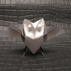 Owl_-_spreading_wings_de_Davor_Vinko-face.png