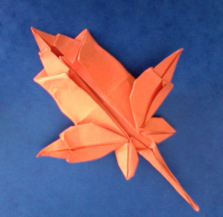 Maple Leaf de Brian Chan, 2e essai (réussi mais à améliorer)
Chouette, je sais la faire maintenant
Mots-clés: erable feuille leaf maple brian chan