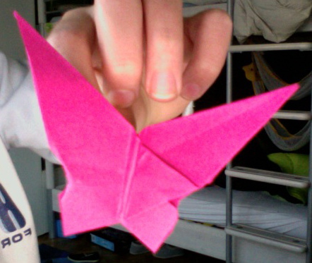 Papillon
très simple, joli...mais pas très symétrique...
Mots-clés: papillon rose eless animal volant