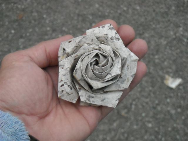 Rose de Naomiki en papier figuier
