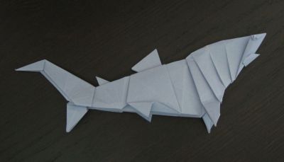 requin bleu
papier tant 35x35
créateur: John Montroll
plié à sec
1er essai
