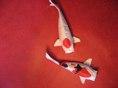 Couple de Carpes Koi
Modèle de de M. G. Lafosse, en papier blanc mûrier double traité au MC.
Mots-clés: poisson carpe koi tâche rouge noir MC mûrier Lafosse