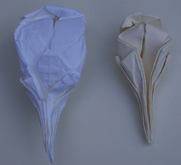 Deux cranes d'oiseaux vus de dessous
Blanc : tant 35x35 cm
Ecru : canson 180 gr wet folding
