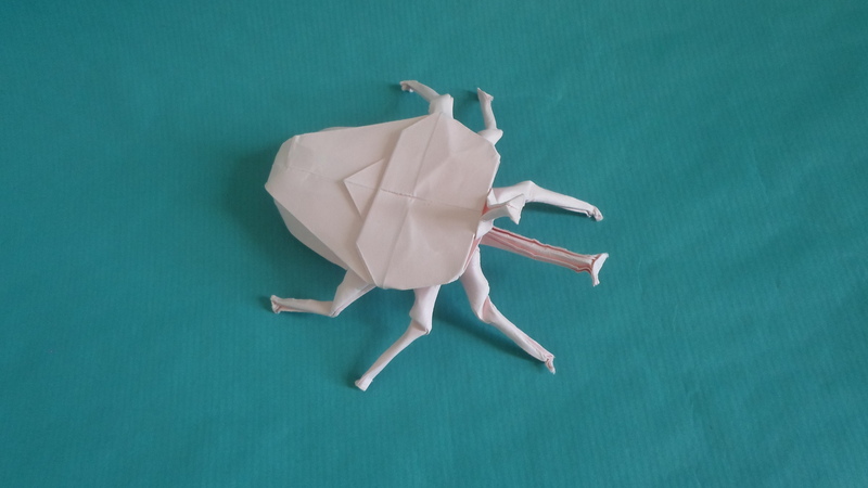 "beetle" - Jo Nakashima
