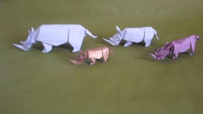 Rhinoceros Quentin Trollip 
carrés de 20 / 15 / 10 / 7,5
