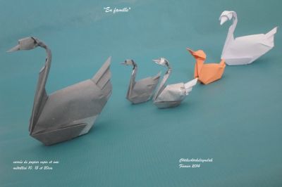 famille de cygnes-canard
cygnes base du cerf-volant
canard base du poisson
papîer copie et soie métallisé 10, 15 et 20cm
