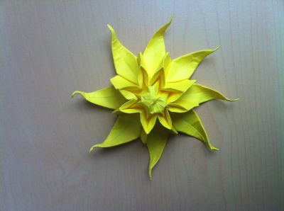 Fleur solaire sur la base du narcisse de Joos Langeveld (grenouille blintzée)
papier Tant 20*20
Mots-clés: fleur soleil tant grenouille blintz