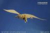PteranodonGilgadoP.jpg
