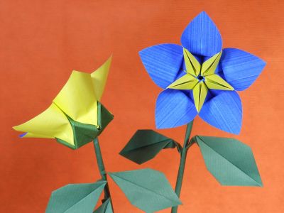 Fleur modulaire avec calice, tige et feuilles
Diagrammes : fleur par Yara Yagi, calice tige et feuille par Viviane.
