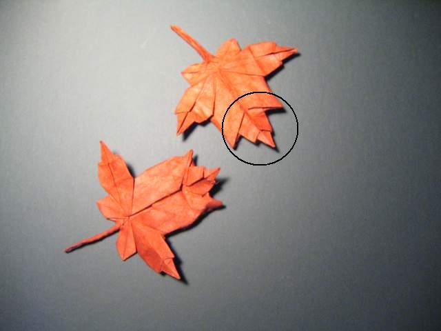 Maple leaf de Brian Chan
