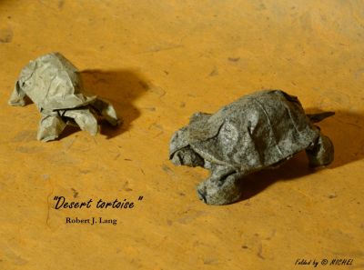 Desert_tortoise_-_Robert_Lang.jpg