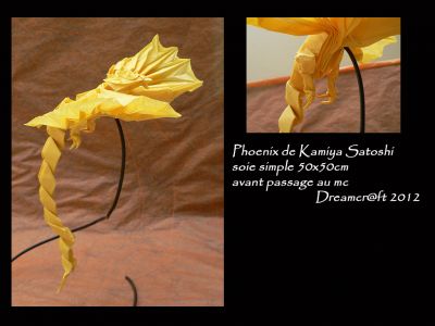 Phoenix de Kamiya Satoshi avant mc
