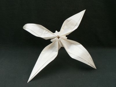 clematis sibirica de Dzmitry Lysiuk
Mots-clés: fleur clématite lysiuk flower