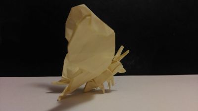 Papillon
(???)
Mots-clés: origami Papillon insecte